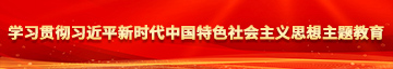 逼里好痒,快点用大鸡巴操我学习贯彻习近平新时代中国特色社会主义思想主题教育